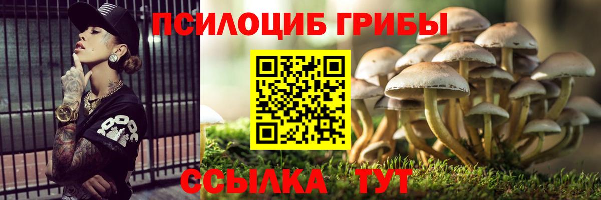 Галлюциногенные грибы Psilocybine cubensis Отрадный